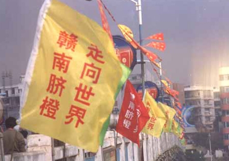&#122;&#111;&#116;&#121;&#20013;&#27431;